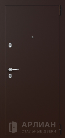 Фото «Порошковая входная дверь  №47»